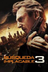 Búsqueda implacable 3