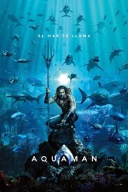 Aquaman (IMAX) x265
