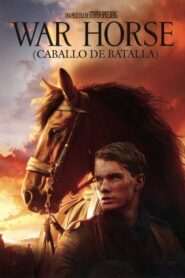 Caballo de Guerra