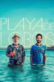 Playa de lobos