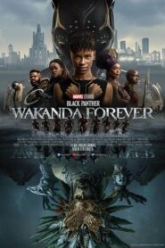 Pantera Negra: Wakanda por siempre